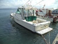 Pursuit 3000 Express