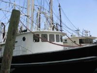 Custom Trawler