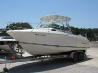 Wellcraft 252 Coastal
