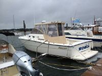 Shamrock 290 Walkaround