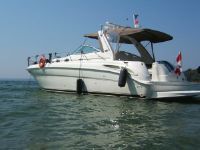 Searay 380 Sundancer
