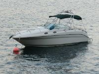 Sea Ray 260