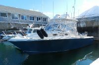 Sailfish 30' Express
