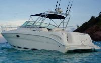 Sea Ray 315 Amberjack