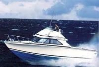 Bertram Yacht 28' Fbc