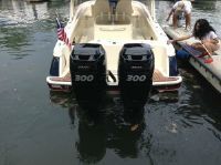 Chris-Craft 29 Catalina Suntender