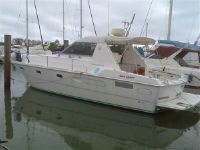 Mochi Craft 35 Dominator