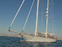 Mengi Yay Elio Nb 64