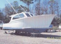 Sunny Briggs Lobster