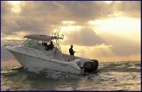 Edgewater 265 Express