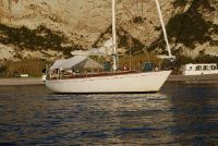 Carlini Sparkman   Stephens 50