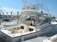 Albemarle Express Fish