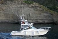 Albemarle 310 Xf Feature