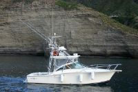 Albemarle 310 Xf Features