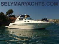 Sea Ray Sundancer 310