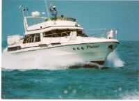 Birchwood 37 President