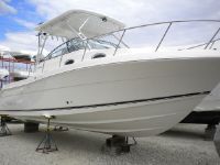 Robalo R305 Walkaround