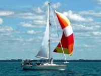 Cal 33' Sloop