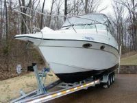 Crownline Cr 290