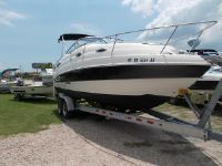 2009 Stingray 250 Cs