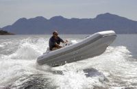 Williams Turbojet 385