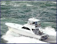 Alex Willis Carolina Custom Convertible