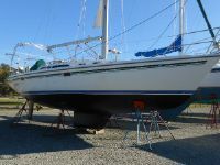 Catalina