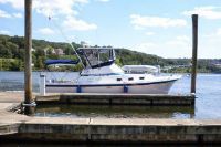 Albin 32 Sportfisher