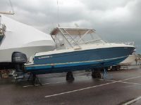 Contender 35 Express