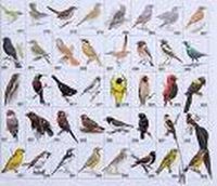 Holl'ndischer Werftbau Ameril