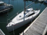 King Cat Bax 252 R