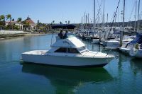 Bertram 28 Flybridge Cruiser