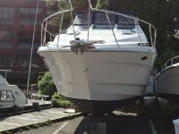 Bayliner 3055 Ciera Sunbridge