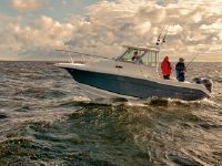 Striper Walkaround 2601 Wa