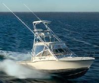 Carolina Classic 28 Express Very Clean