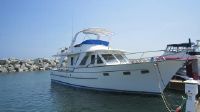 De Fever 48Trawler