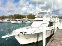 Viking Convertible Sportfish