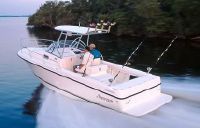 Shamrock 246 Adventurer