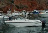 Boston Whaler 21" Ventur