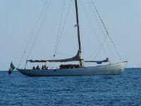 Clark-Miller &Sons Cheone