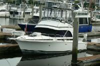 Bertram 33 Flybridge Cruiser Yanmars