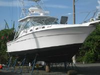 Wellcraft 33 Coastal