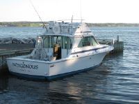 Bertram 35 Convertible