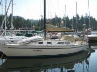 Sceptre 36 Sloop