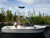 Shamrock 260 Stalker