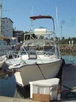 Albemarle Express 305