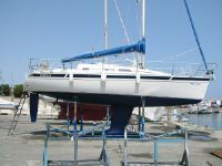 Elan 31