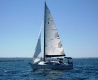 Freedom 29