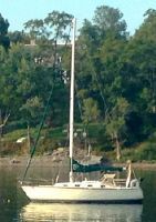 Tartan 31