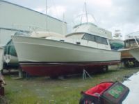 Mainship Motor Crusier